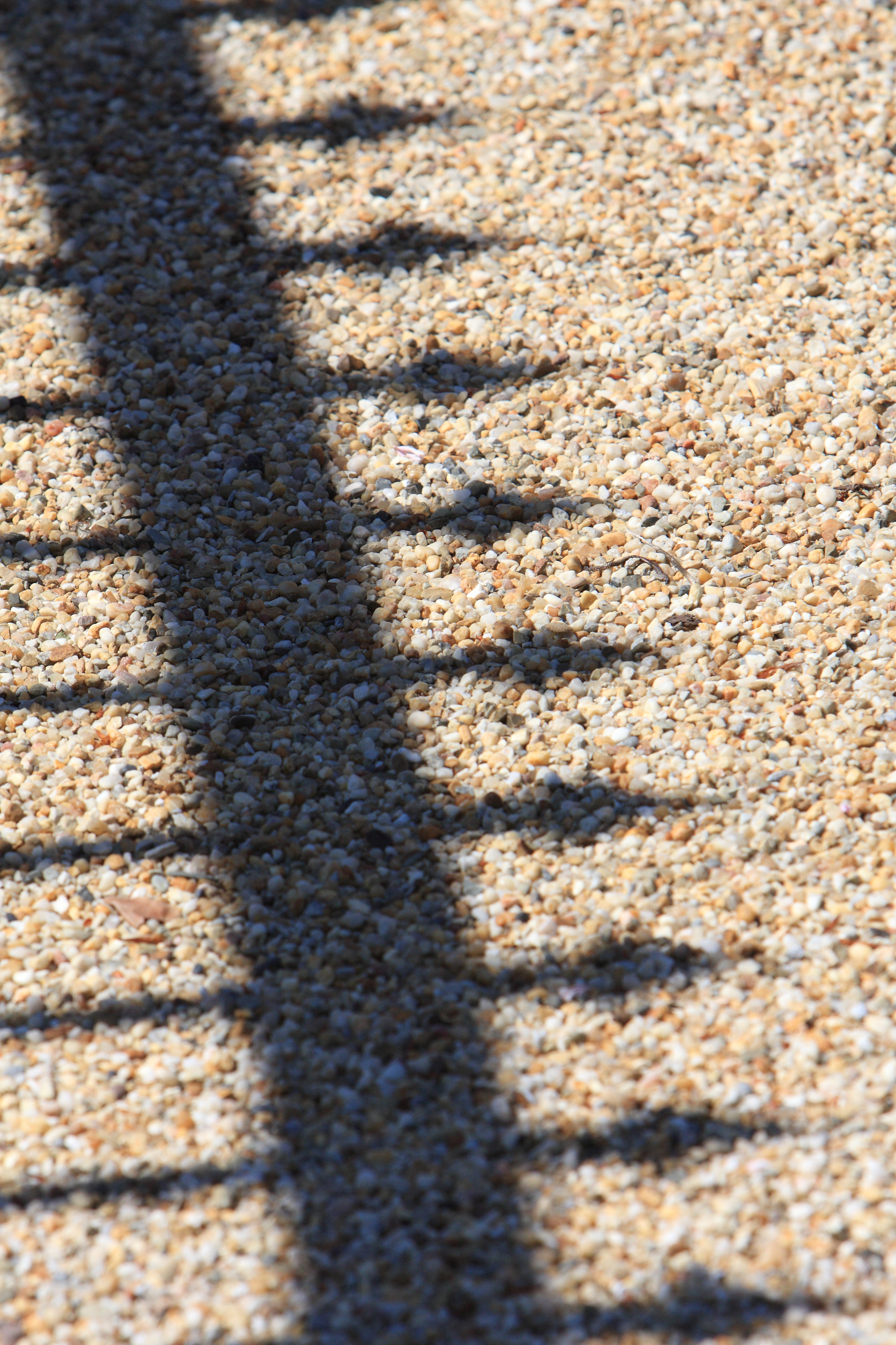 Aliston House Flats for Sale Exmouth Devon Estate Agents Devon